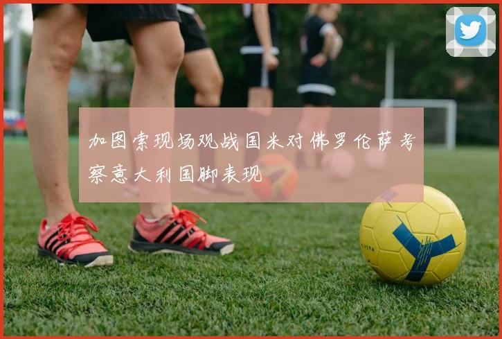 加图索现场观战国米对佛罗伦萨考察意大利国脚表现