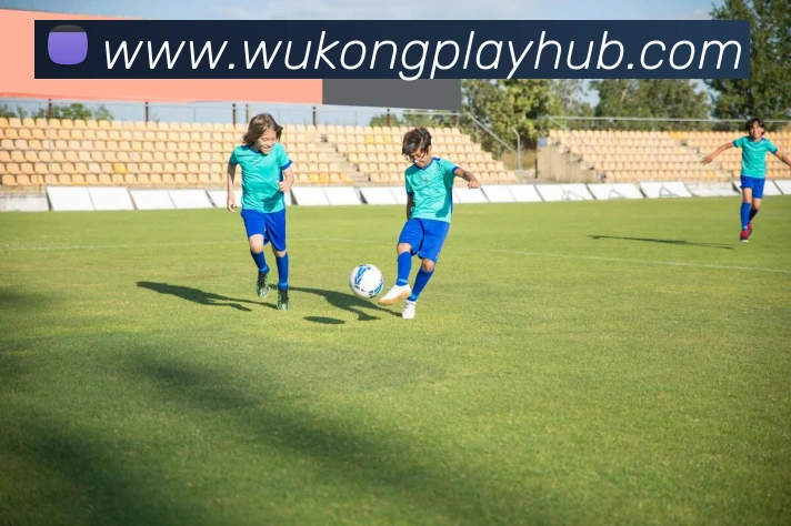 悟空体育平台生态图