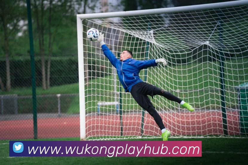 悟空体育APP 封面图